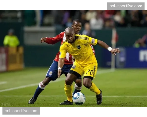 深度报道：WNBA扩张计划加速，多伦多与纳什维尔成为热门候选城市